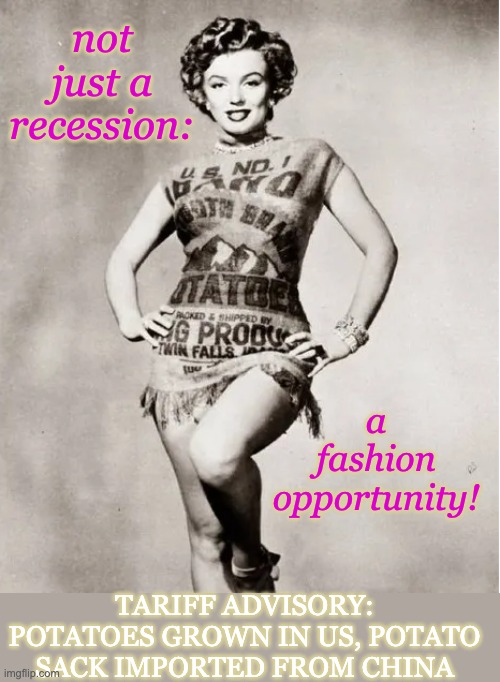not just a recession: a fashion opportunity! TARIFF ADVISORY: POTATOES GROWN IN US, POTATO SACK IMPORTED FROM CHINA | made w/ Imgflip meme maker