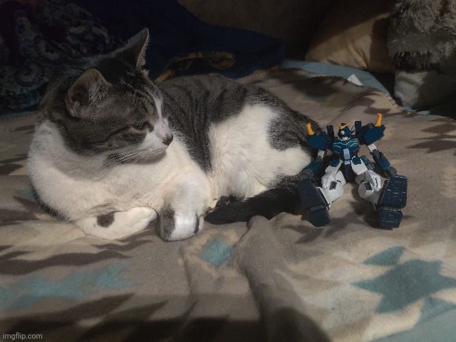 No context Gundam shenanigans | made w/ Imgflip meme maker