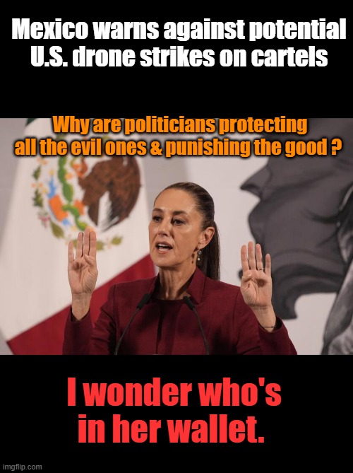 Shes protecting people who murder thousands of US & her citizens. Shes obviously in the NWO Club | Mexico warns against potential U.S. drone strikes on cartels; Why are politicians protecting all the evil ones & punishing the good ? I wonder who's in her wallet. | made w/ Imgflip meme maker
