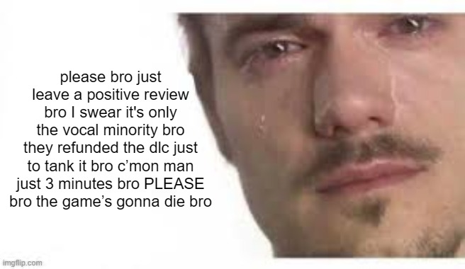 Bro Please Bro | please bro just leave a positive review bro I swear it's only the vocal minority bro
they refunded the dlc just to tank it bro c’mon man just 3 minutes bro PLEASE bro the game’s gonna die bro | image tagged in bro please bro | made w/ Imgflip meme maker