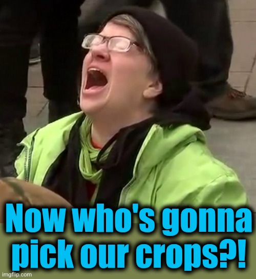 Crying liberal | Now who's gonna
pick our crops?! | image tagged in crying liberal | made w/ Imgflip meme maker