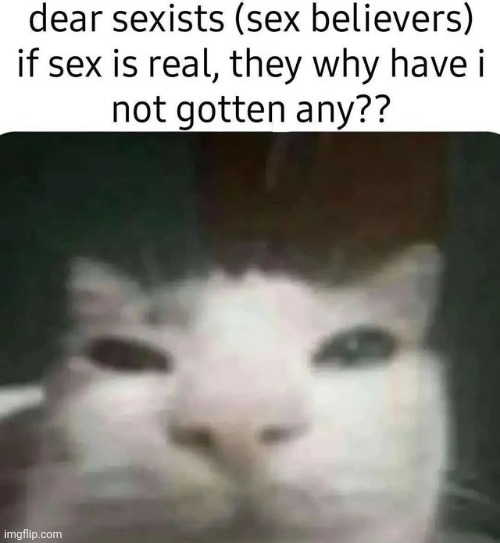 image tagged in memes,msmg | made w/ Imgflip meme maker
