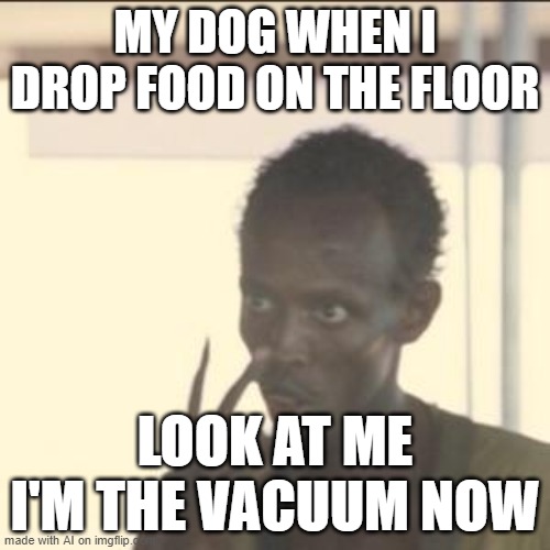 Look At Me | MY DOG WHEN I DROP FOOD ON THE FLOOR; LOOK AT ME I'M THE VACUUM NOW | image tagged in memes,look at me | made w/ Imgflip meme maker