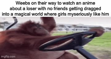 orangutan driving a golf cart - Imgflip