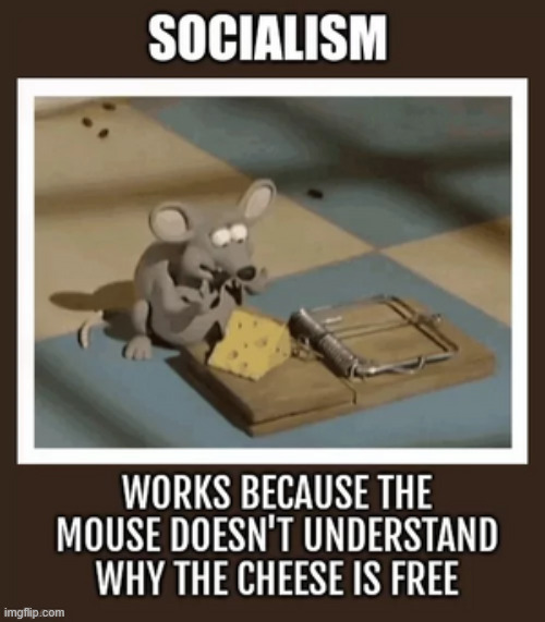 9q9e1g.jpg