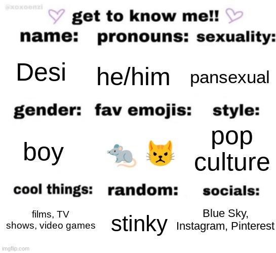 get to know me but better | Desi; he/him; pansexual; pop culture; 🐀 😾; boy; Blue Sky, Instagram, Pinterest; films, TV shows, video games; stinky | image tagged in get to know me but better | made w/ Imgflip meme maker