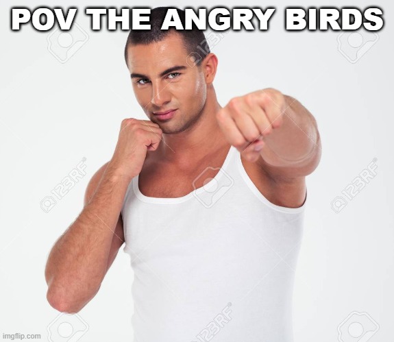 Guy punching you | POV THE ANGRY BIRDS | image tagged in guy punching you | made w/ Imgflip meme maker