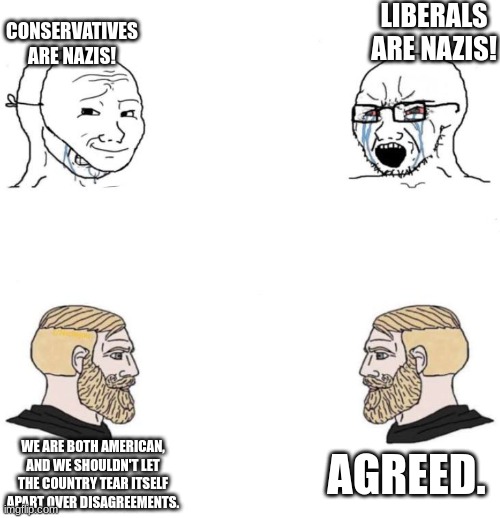 Why can't we just settle this like adults? | LIBERALS ARE NAZIS! CONSERVATIVES ARE NAZIS! AGREED. WE ARE BOTH AMERICAN, AND WE SHOULDN'T LET THE COUNTRY TEAR ITSELF APART OVER DISAGREEMENTS. | image tagged in soyboy vs soyboy,politics | made w/ Imgflip meme maker