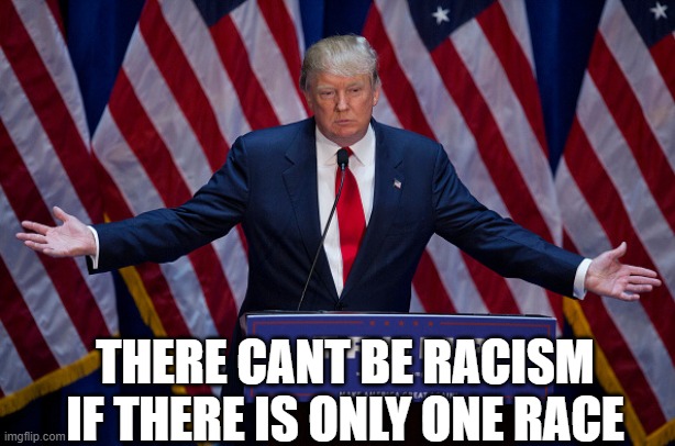 Trump hates you | THERE CANT BE RACISM IF THERE IS ONLY ONE RACE | image tagged in donald trump | made w/ Imgflip meme maker