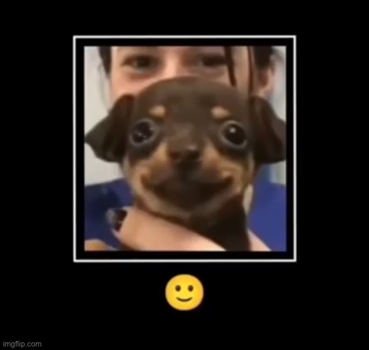 . | made w/ Imgflip meme maker