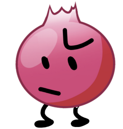 Pomegranate Blank Meme Template