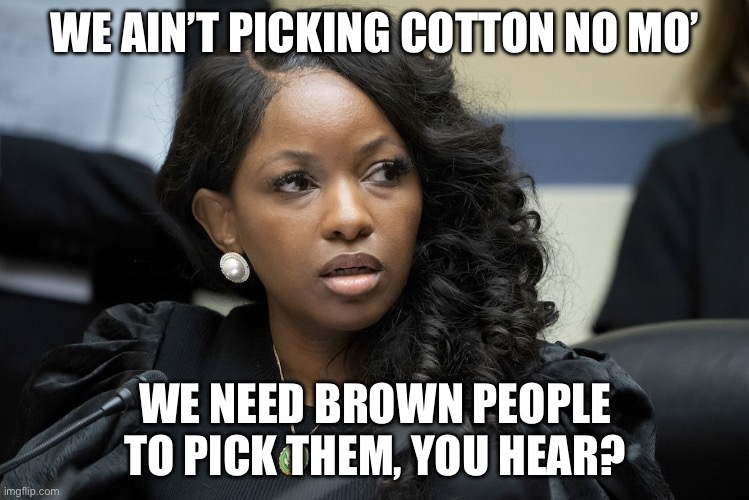 Jasmine Crockett | WE AIN’T PICKING COTTON NO MO’; WE NEED BROWN PEOPLE TO PICK THEM, YOU HEAR? | image tagged in jasmine crockett,illegal immigration,racist,politics,political meme | made w/ Imgflip meme maker