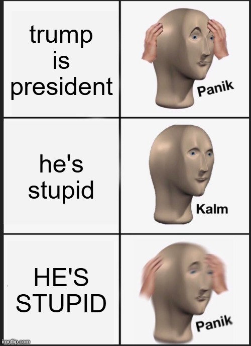 may scott have mercy on our souls | trump is president; he's stupid; HE'S STUPID | image tagged in memes,panik kalm panik | made w/ Imgflip meme maker