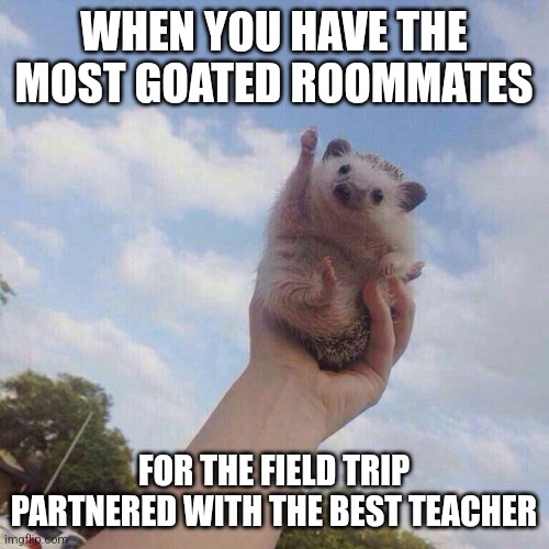 Was me | WHEN YOU HAVE THE MOST GOATED ROOMMATES; FOR THE FIELD TRIP PARTNERED WITH THE BEST TEACHER | image tagged in lets go | made w/ Imgflip meme maker