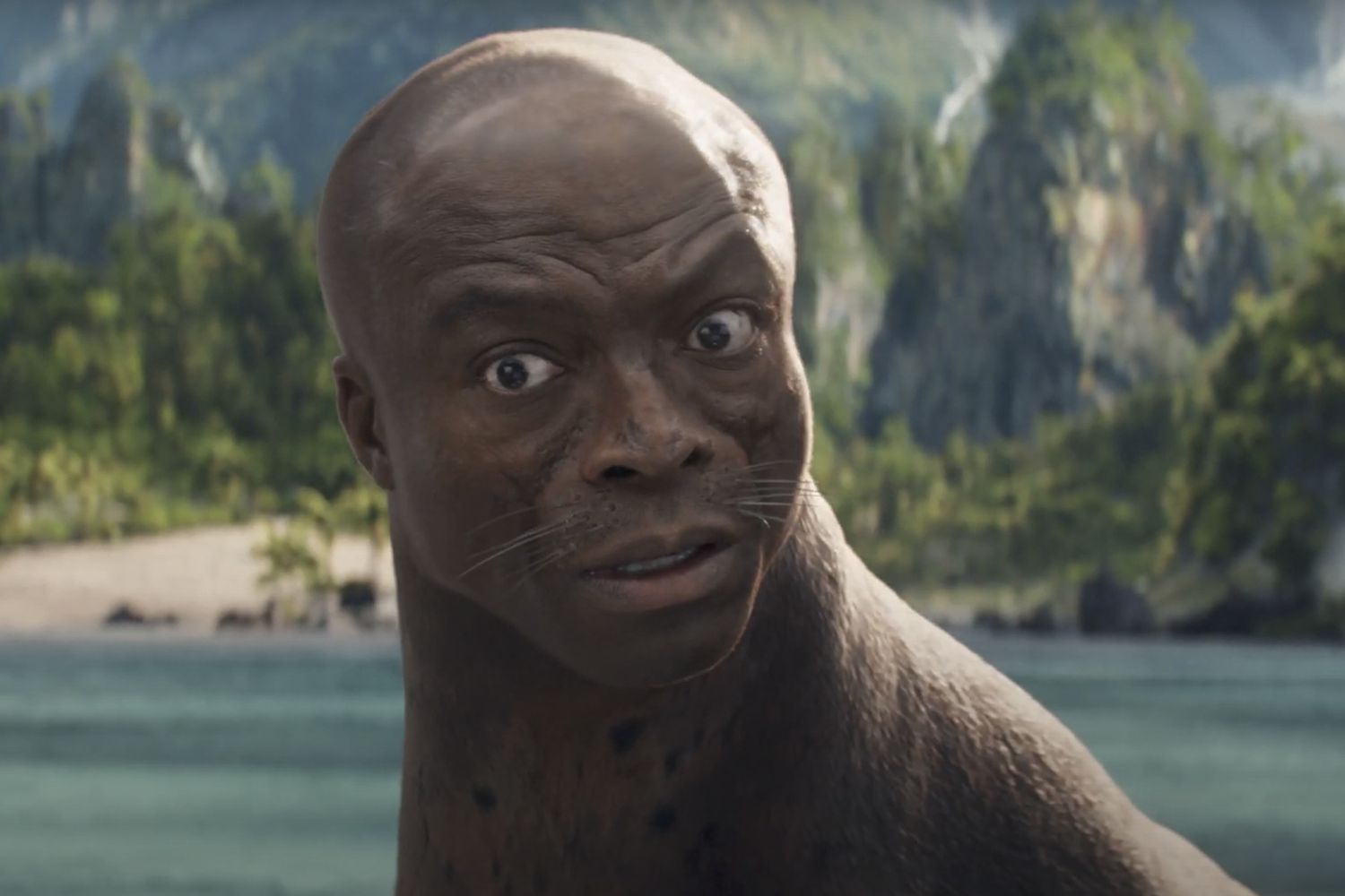Seal Seal Blank Meme Template