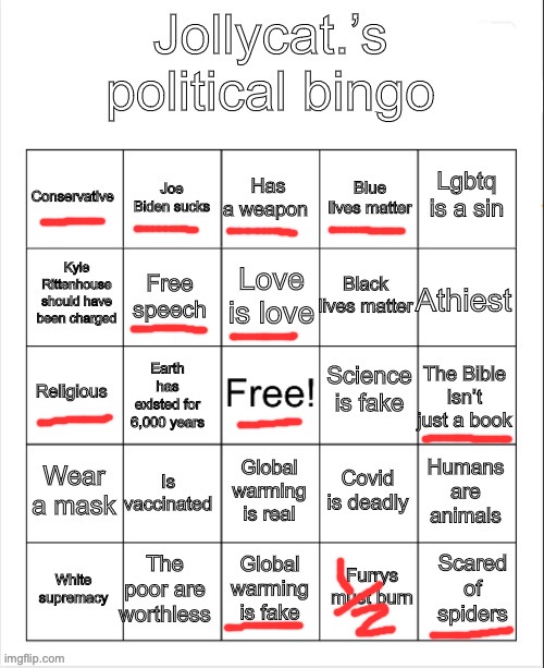 Jollycat.’s political bingo | image tagged in jollycat s political bingo | made w/ Imgflip meme maker