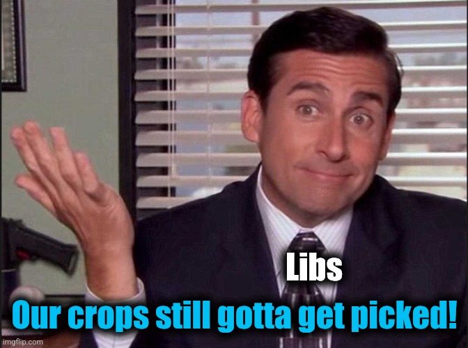 Michael Scott | Libs Our crops still gotta get picked! | image tagged in michael scott | made w/ Imgflip meme maker
