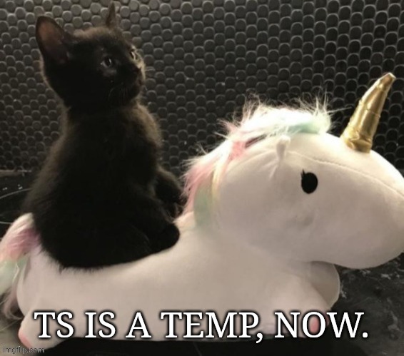Thanks, Astro ❤️ | TS IS A TEMP, NOW. | image tagged in kittys noble steed | made w/ Imgflip meme maker