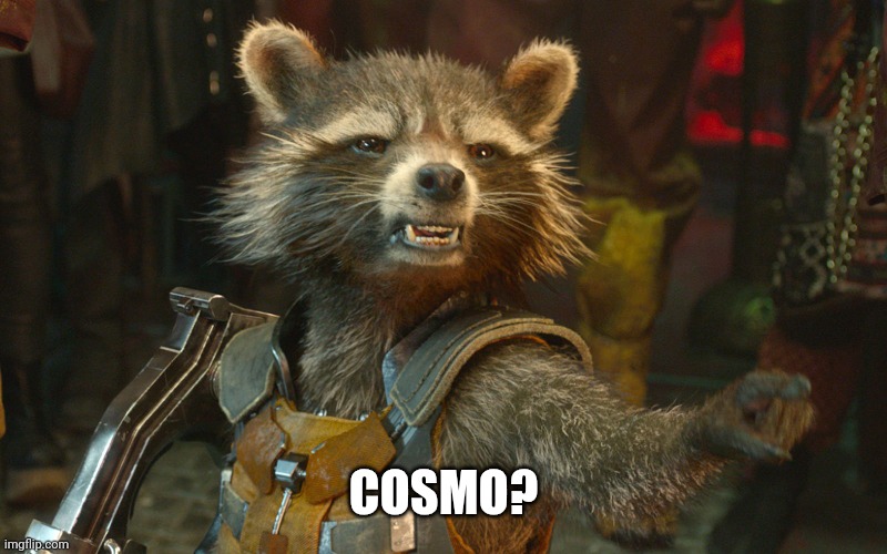 Rocket Raccoon | COSMO? | image tagged in rocket raccoon | made w/ Imgflip meme maker