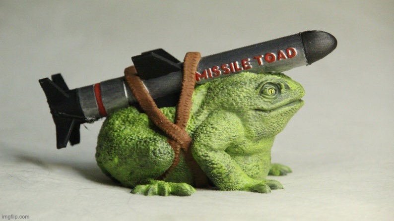 Missile Toad | image tagged in missile toad | made w/ Imgflip meme maker
