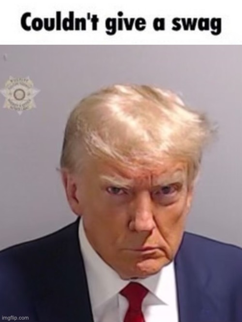 image tagged in couldn't give a swag,donald trump mugshot | made w/ Imgflip meme maker