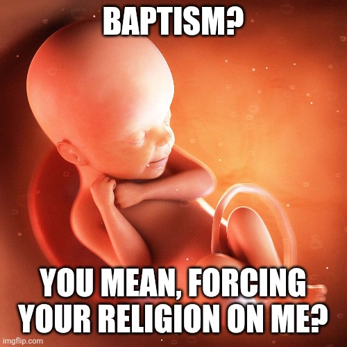 White Male Erasure Feminist Fetus | BAPTISM? YOU MEAN, FORCING YOUR RELIGION ON ME? | image tagged in feminism | made w/ Imgflip meme maker