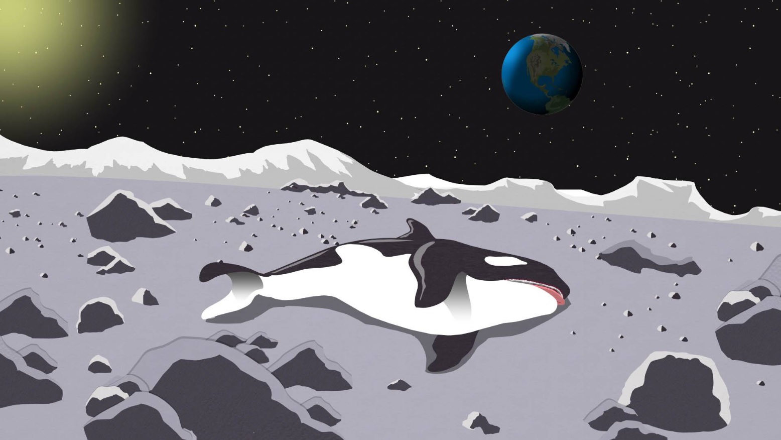 Dead Orca Blank Meme Template
