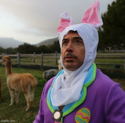 What is this template I found | image tagged in robert downey jr easter | made w/ Imgflip meme maker