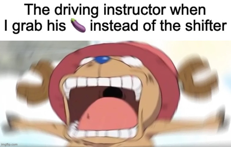 image tagged in chopper screaming | made w/ Imgflip meme maker