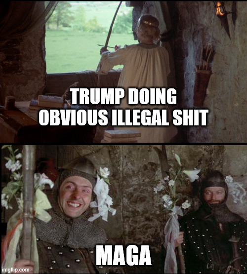 Monty Python Prince and guards | TRUMP DOING OBVIOUS ILLEGAL SHIT; MAGA | image tagged in monty python prince and guards | made w/ Imgflip meme maker