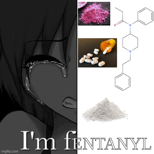I'm fi | ENTANYL | image tagged in i'm fi | made w/ Imgflip meme maker