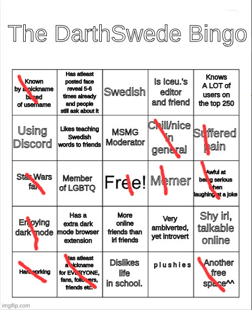 The DarthSwede Bingo | image tagged in the darthswede bingo | made w/ Imgflip meme maker