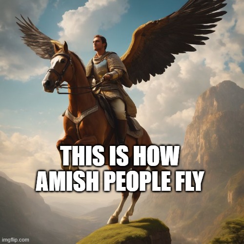 it's better than planes | THIS IS HOW AMISH PEOPLE FLY | image tagged in horse,flying,plane | made w/ Imgflip meme maker