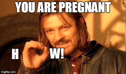 One Does Not Simply Meme | YOU ARE PREGNANT H W! | image tagged in memes,one does not simply | made w/ Imgflip meme maker