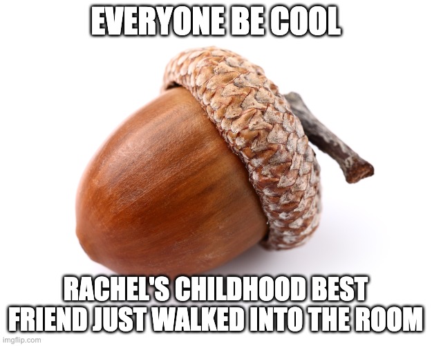 EVERYONE BE COOL; RACHEL'S CHILDHOOD BEST FRIEND JUST WALKED INTO THE ROOM | made w/ Imgflip meme maker