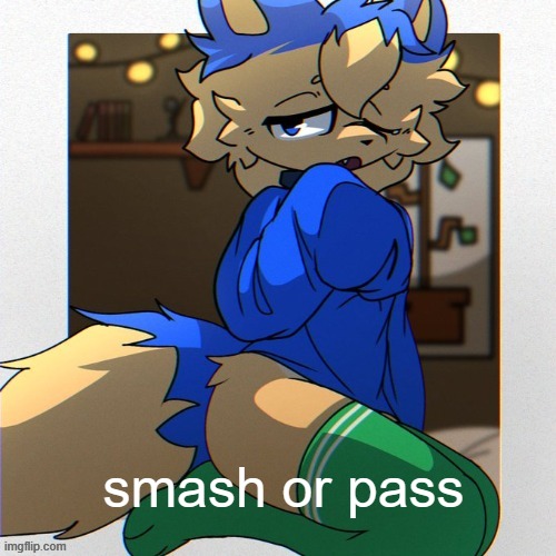 femboy noob | smash or pass | image tagged in femboy noob | made w/ Imgflip meme maker