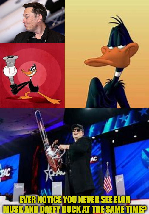 Separated At Birth | EVER NOTICE YOU NEVER SEE ELON MUSK AND DAFFY DUCK AT THE SAME TIME? | made w/ Imgflip meme maker