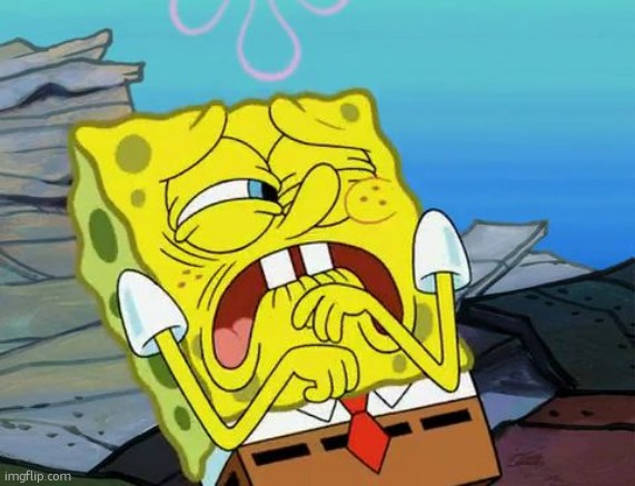 Grossed Out Spongebob | image tagged in grossed out spongebob | made w/ Imgflip meme maker