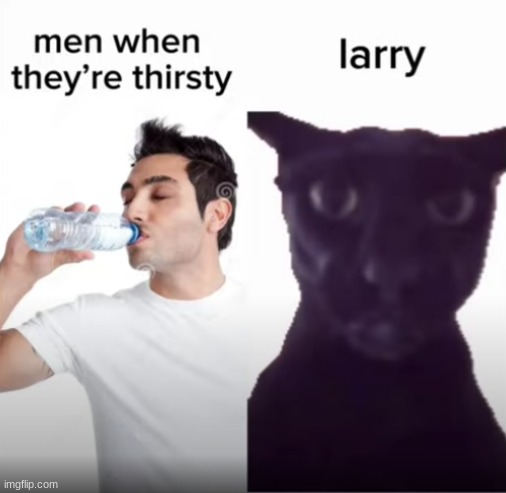 larry | made w/ Imgflip meme maker