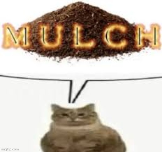 MULCH | made w/ Imgflip meme maker