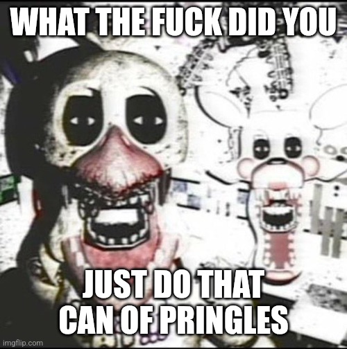 Withered chica and mangle ?️??️ | WHAT THE FUCK DID YOU; JUST DO THAT CAN OF PRINGLES | image tagged in withered chica and mangle | made w/ Imgflip meme maker