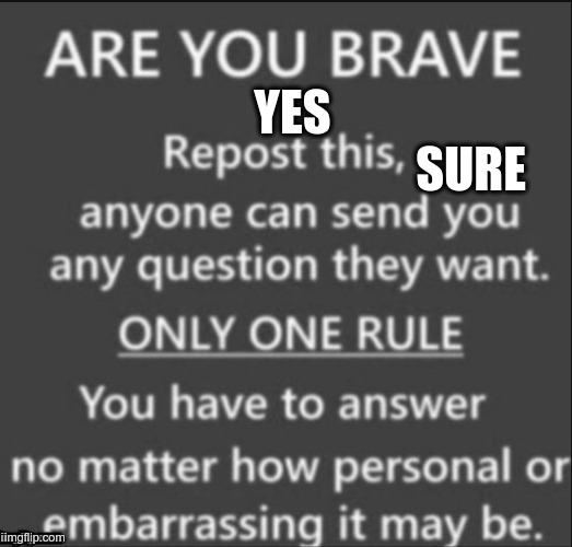 Ready? | YES
                                     SURE | image tagged in are you brave | made w/ Imgflip meme maker
