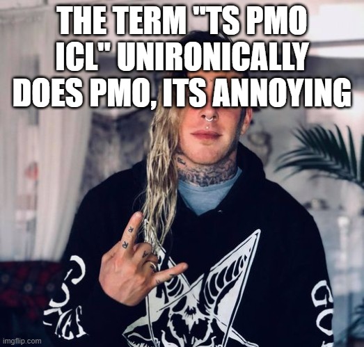 I get the ick just saying it here pun intended | THE TERM "TS PMO ICL" UNIRONICALLY DOES PMO, ITS ANNOYING | image tagged in tom macdonald | made w/ Imgflip meme maker