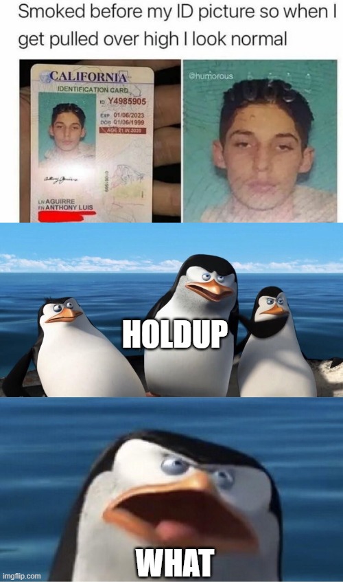 Crazy | HOLDUP; WHAT | image tagged in wouldn't that make you | made w/ Imgflip meme maker