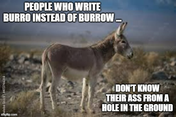 If you write burrow instead of burro, you don't know your ass from a hole in ground. | image tagged in funny,play on words,funny meme,donkey,humor,joke | made w/ Imgflip meme maker