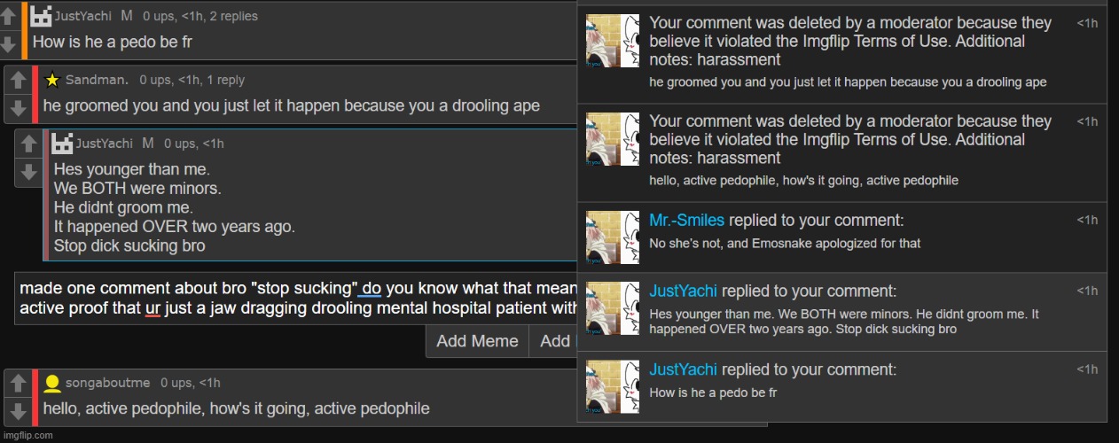 i think someone's panties are in a bunch lmao she's a slut for emosnake an absolute whiteknight | made w/ Imgflip meme maker