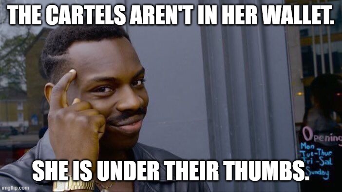 Roll Safe Think About It Meme | THE CARTELS AREN'T IN HER WALLET. SHE IS UNDER THEIR THUMBS. | image tagged in memes,roll safe think about it | made w/ Imgflip meme maker