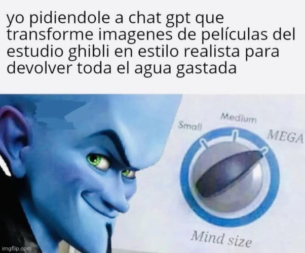 9qg97h.jpg