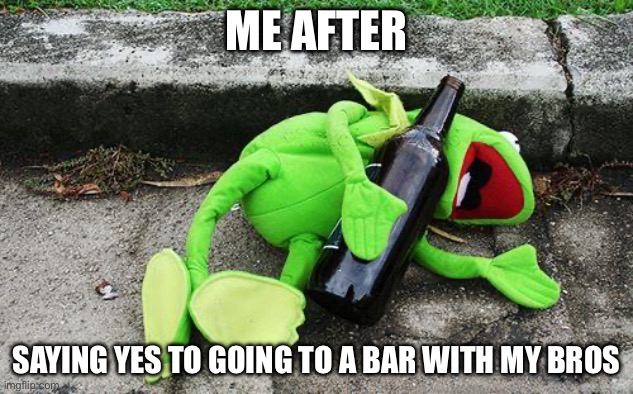 Drunk Kermit | ME AFTER; SAYING YES TO GOING TO A BAR WITH MY BROS | image tagged in drunk kermit | made w/ Imgflip meme maker