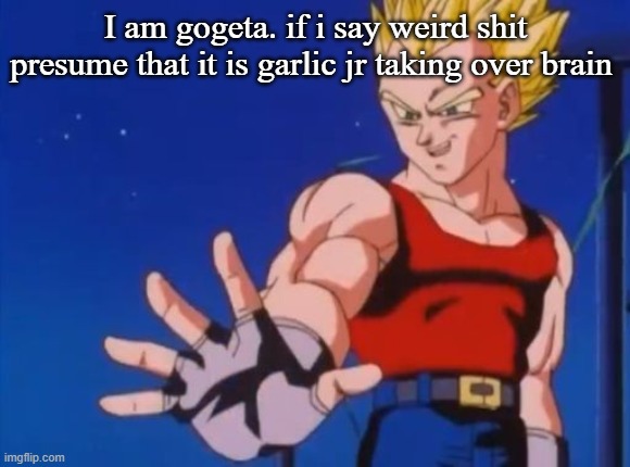 GT vegeta | I am gogeta. if i say weird shit presume that it is garlic jr taking over brain | image tagged in gt vegeta | made w/ Imgflip meme maker